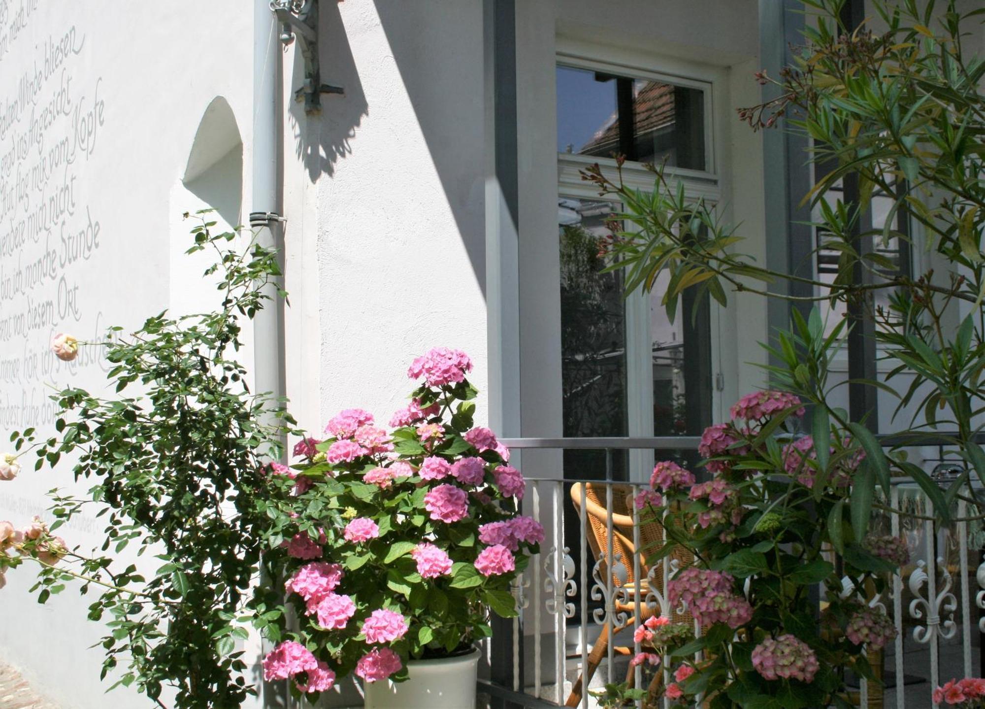 Herrenhof Worms Kültér fotó