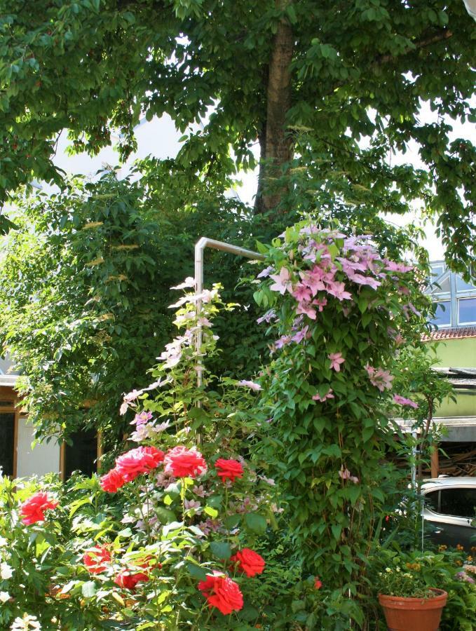 Herrenhof Worms Kültér fotó